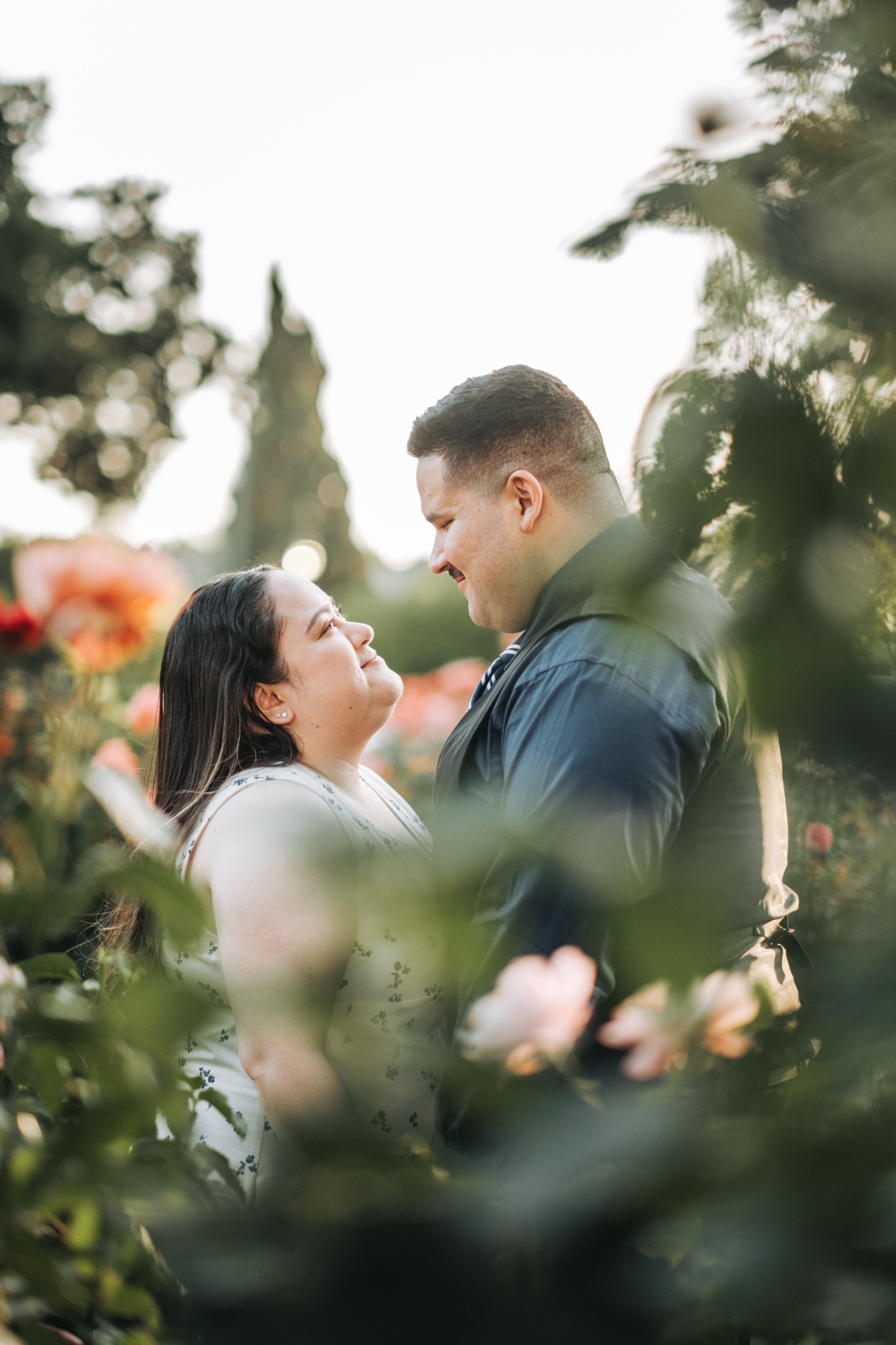 carousel-hero-element image-1